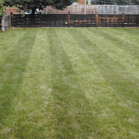lawn-turfing-wandsworth-london-all-about-gardens-lawn-turfing