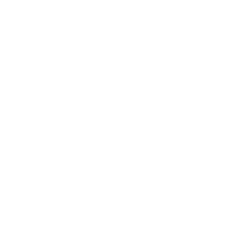 water damage house icon