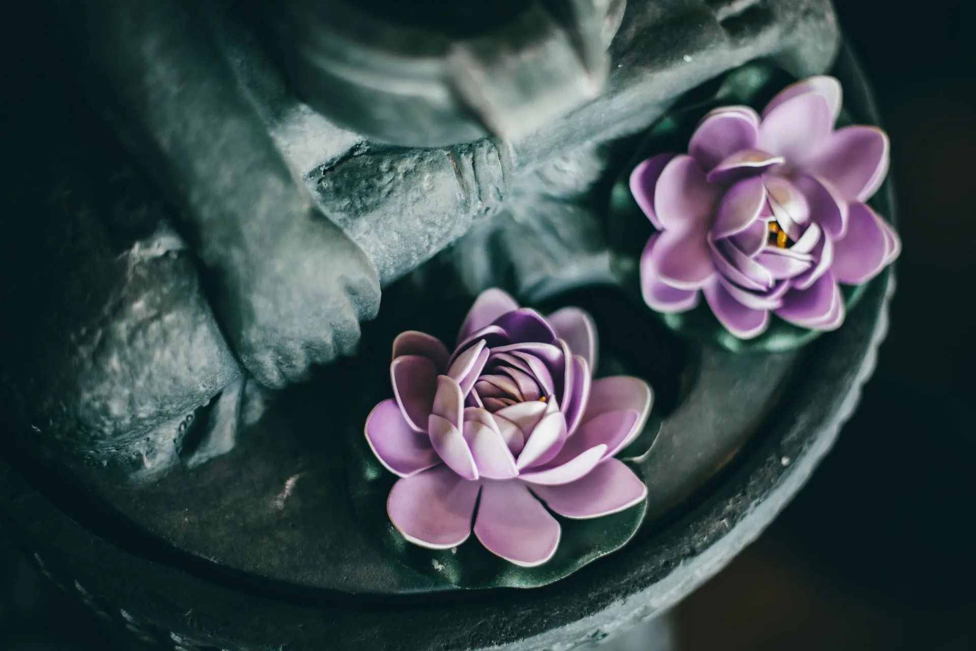 Two Purple Lotus Flowers Float in a Dark Green Stone Basin — Traditional Massage Services In Broadbeach, QLD