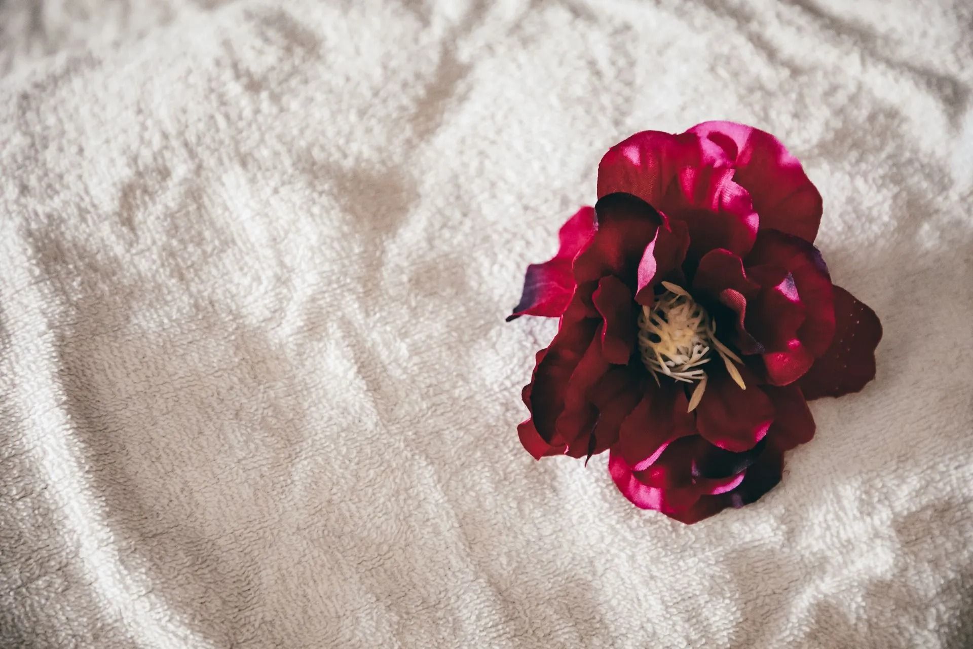 Red Flower on a Textured White Surface, Possibly a Towel or Cloth — Traditional Massage Services In Broadbeach, QLD
