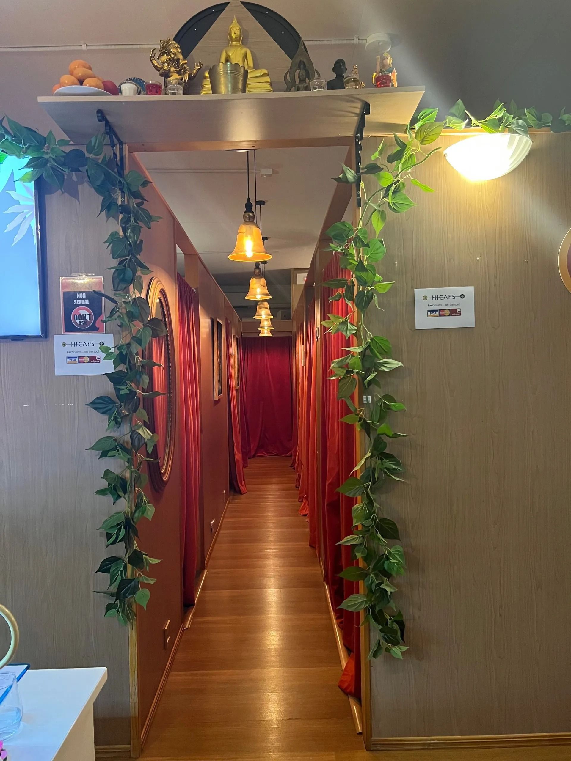 Corridor in a Massage Spa With Red Curtains, Hanging Ivy, and Dim Lighting — Traditional Massage Services In Broadbeach, QLD