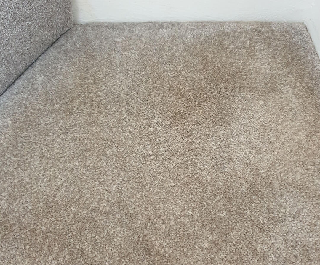 Carpet before cleaning