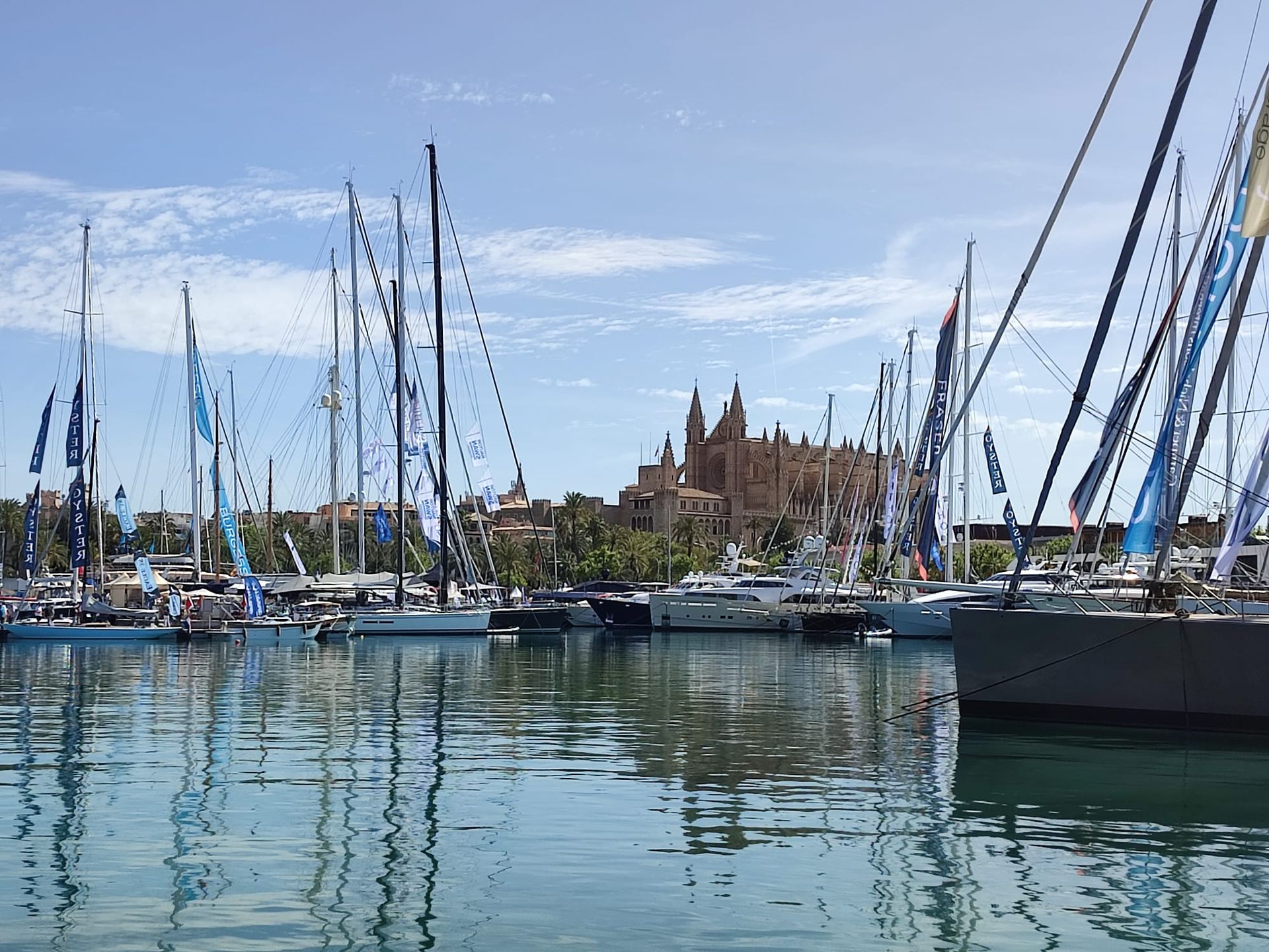 Many boats and the Cathedral of Palma during the PIBS