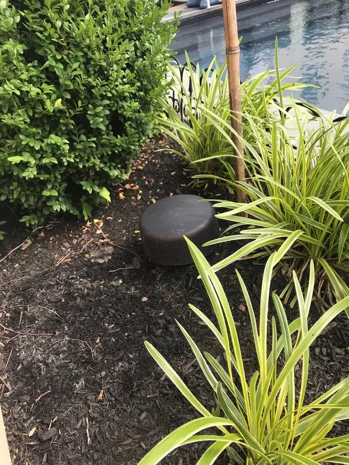 JL Entertainment Designs