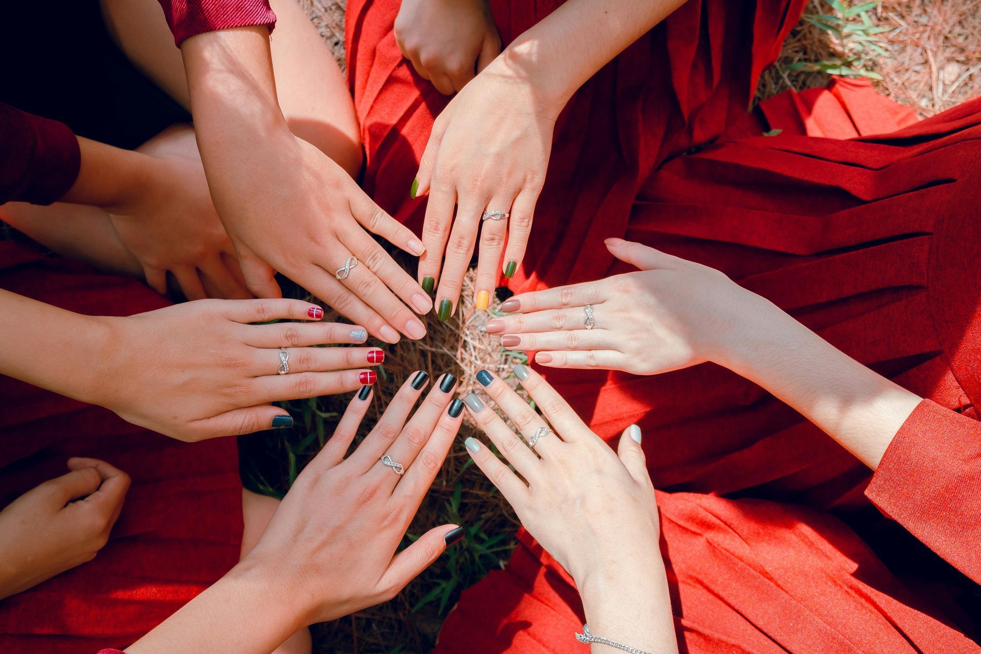 Several hands in red sleeves reach toward the center, forming a circle above a small, spiky plant.
