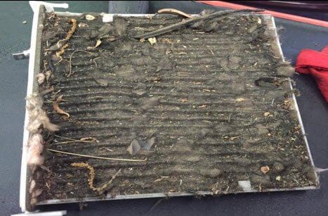 A C cabin air filter