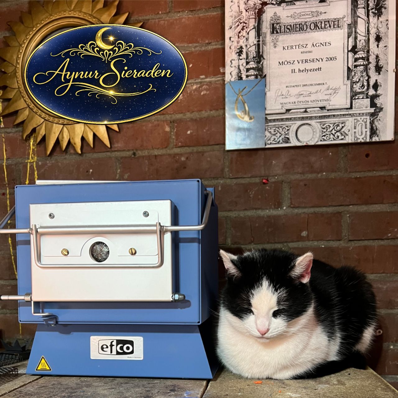 Atelier van Aynur Sieraden met emaille oven en kat – kijkje achter de schermen van het maakproces