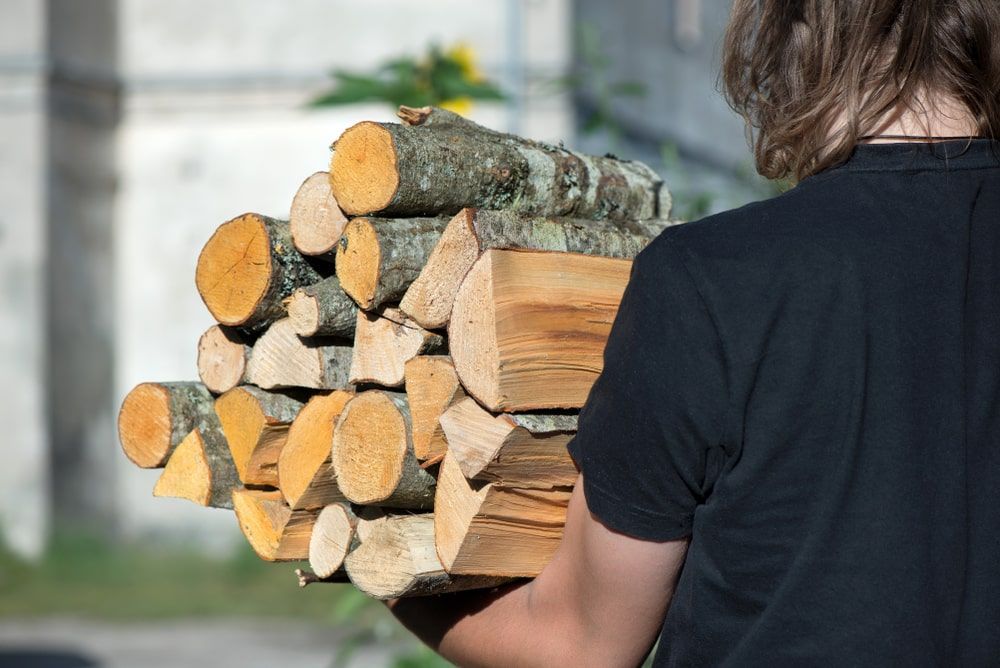 A Person Is Carrying A Pile Of Logs In Their Hands — Brown's Vegetation Management In Mulara, QLD
