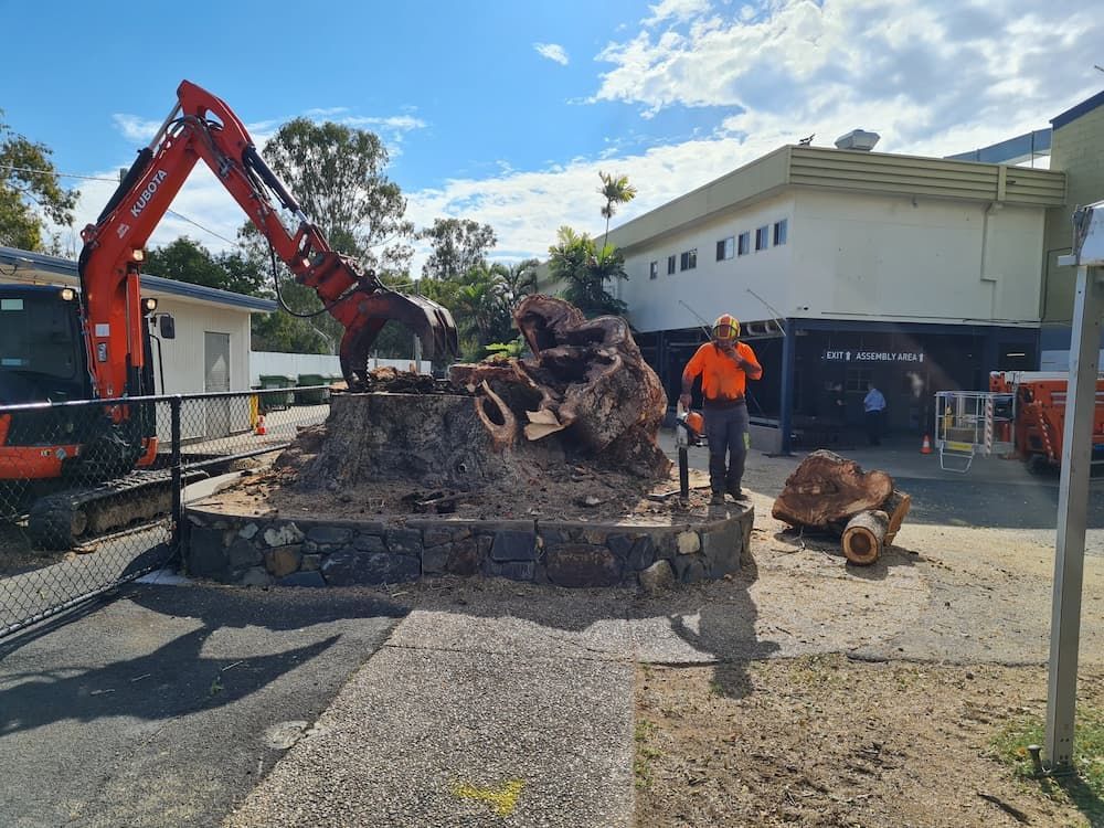 A Construction Worker Stands Beside a Large Tree Stump