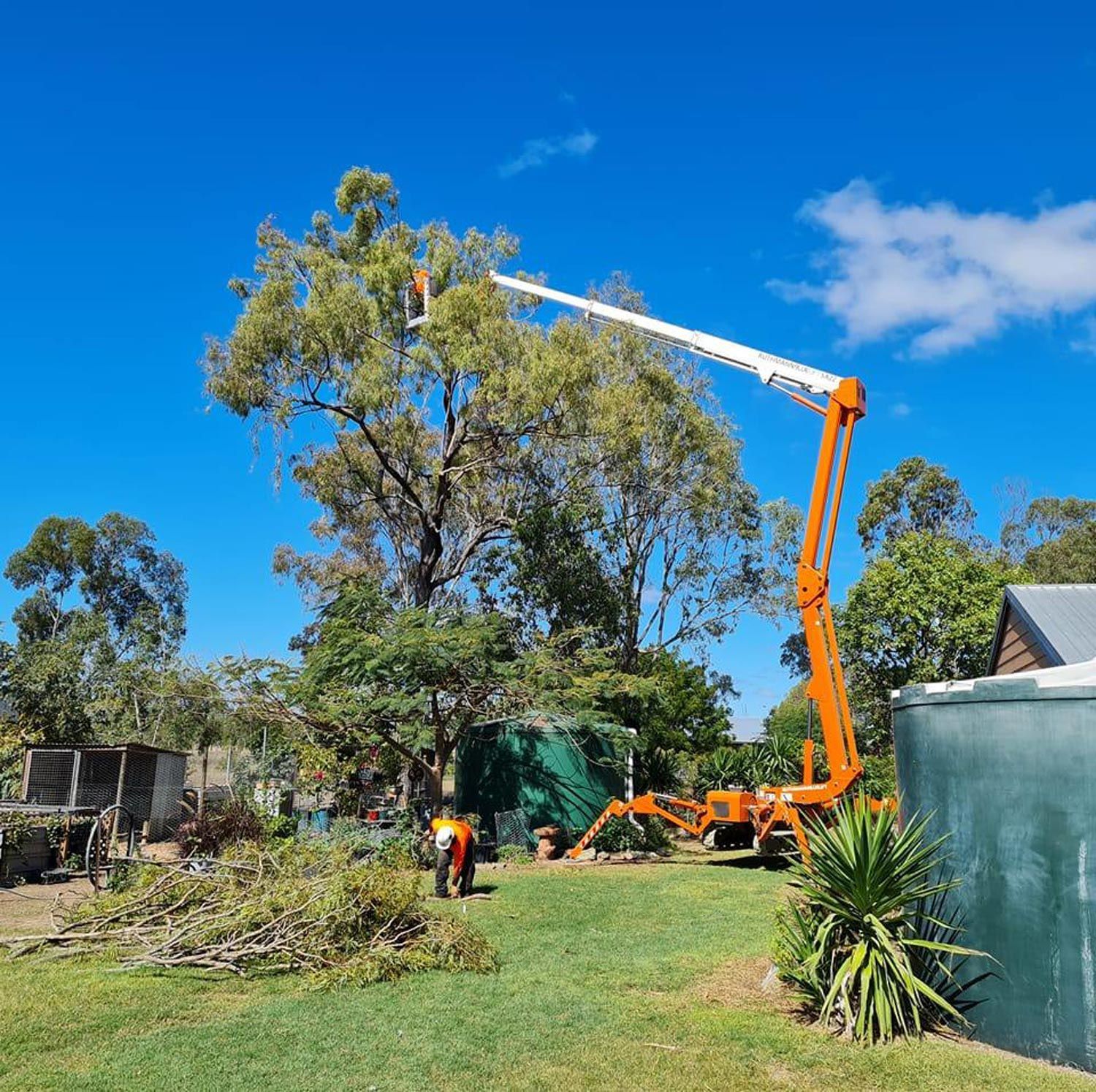 Arborist On A Crane For A Tree Removal