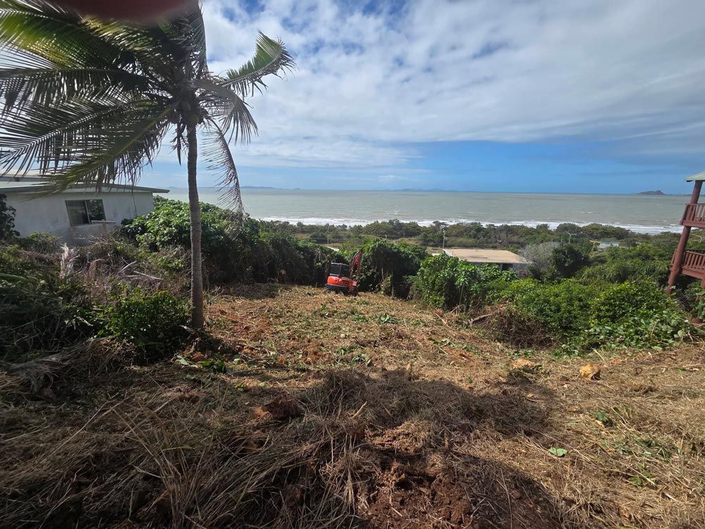 Firebreak and Vegetation Maintenance