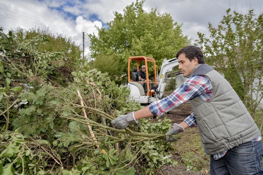 A Man Is Standing In Front Of A Pile Of Branches — Brown's Vegetation Management In Mulara, QLD