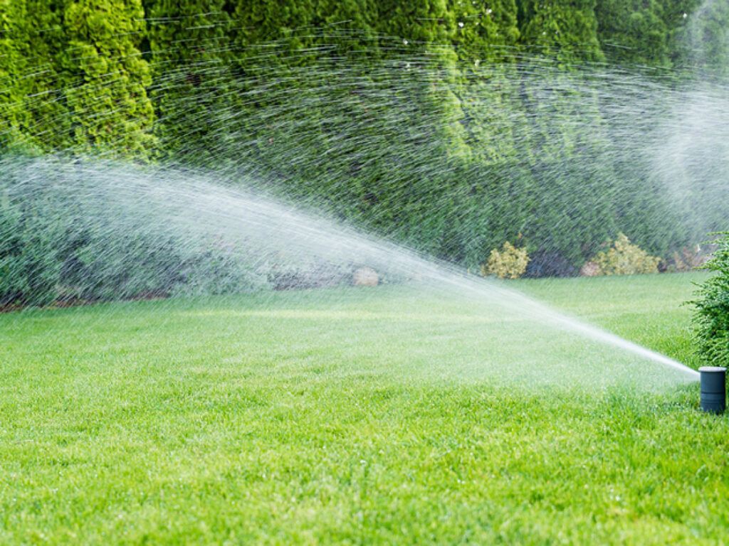 A sprinkler is spraying water on a lush green lawn.