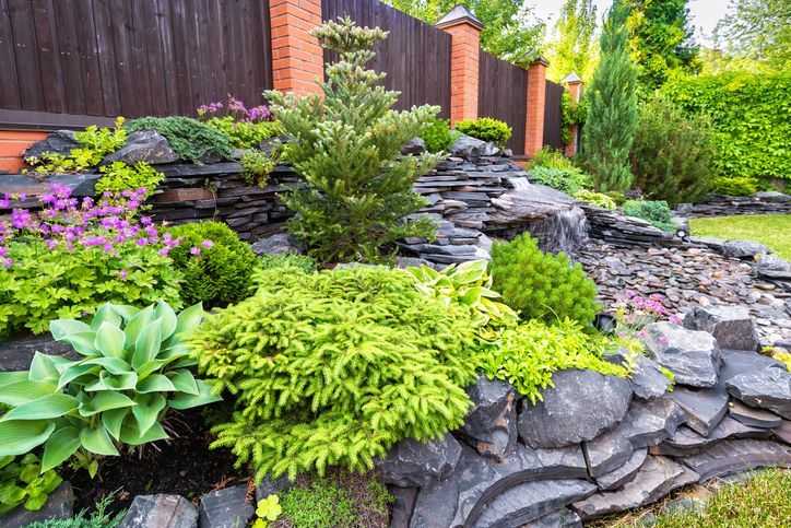 A rock garden with lots of plants and flowers in front of a wooden fence.