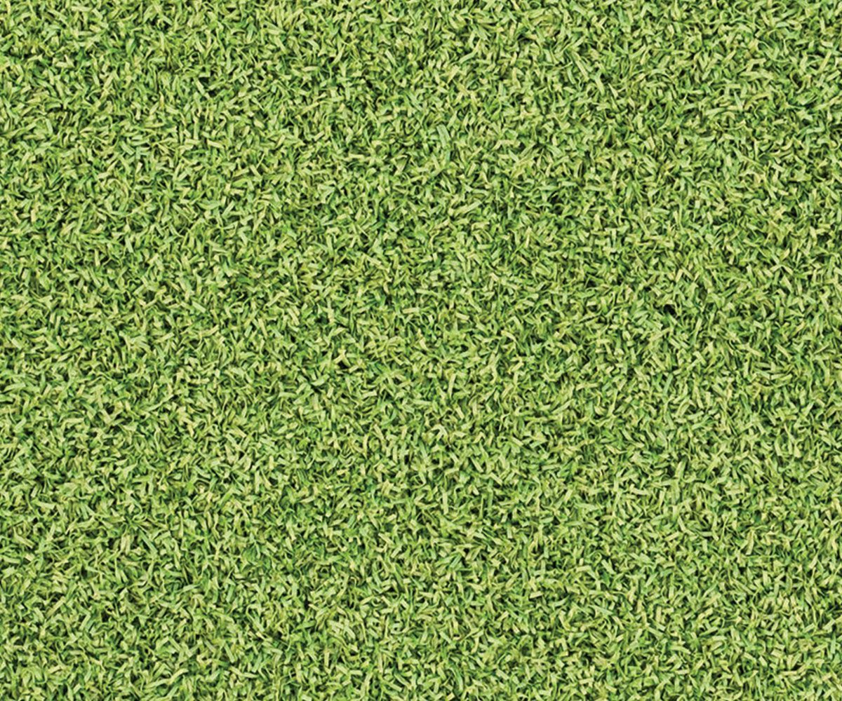 Artificial putting green turf for Ohio backyards