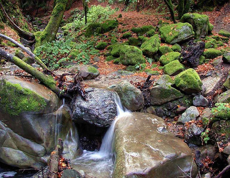 Natural top rock with moss near Painsville stream