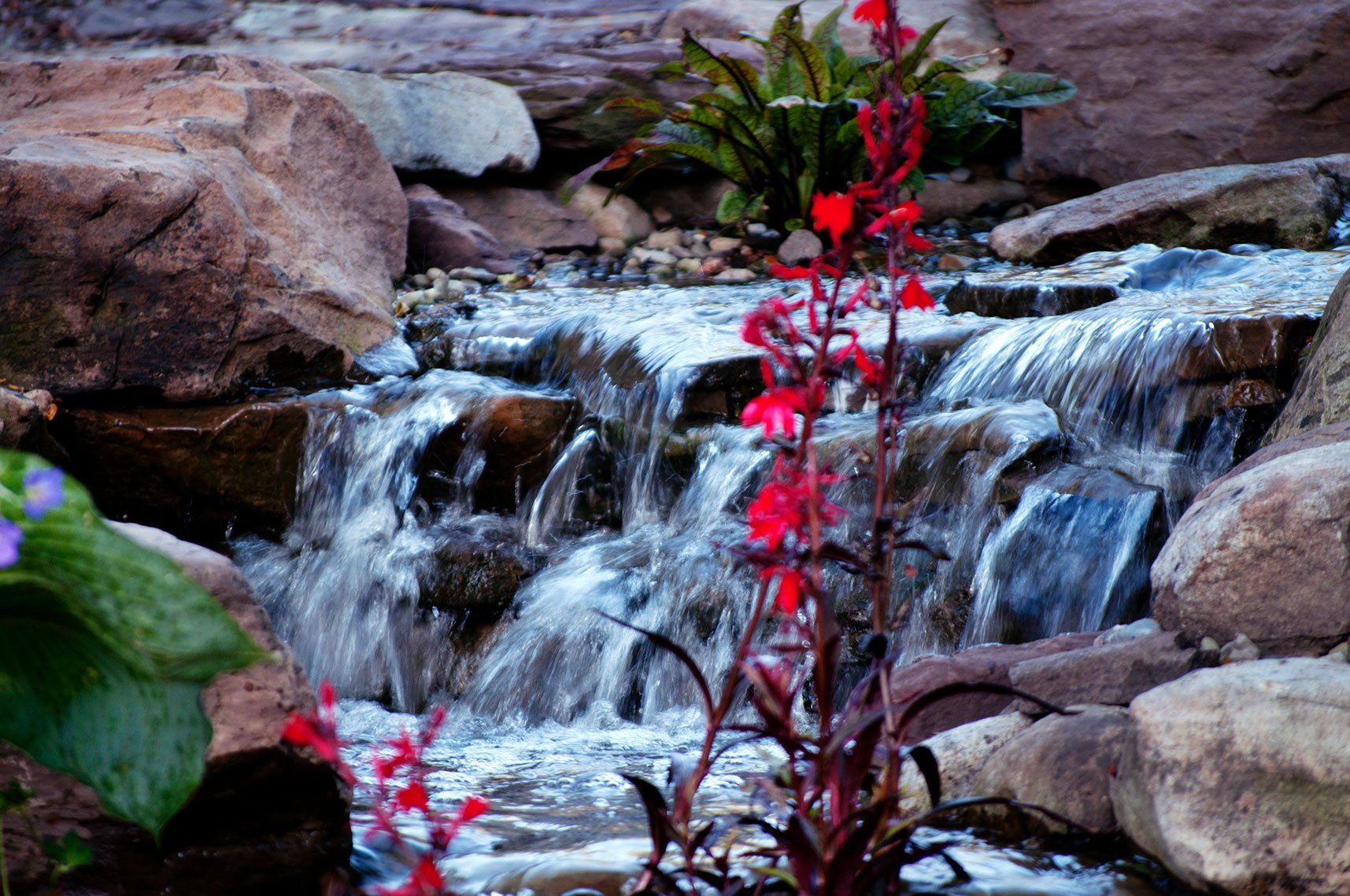 Ohio backyard water feature with waterfall, landscape rock, and plants