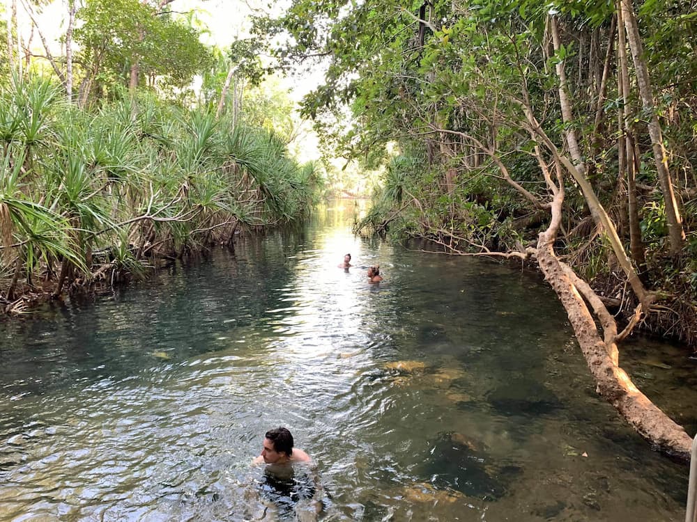 Clean River and Mangroves — Litchfield Budget Tours in Darwin City, NT