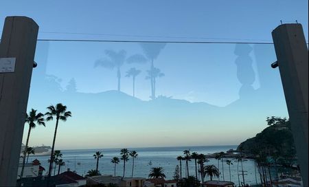 A view of the ocean through a glass fence with palm trees in the foreground.
