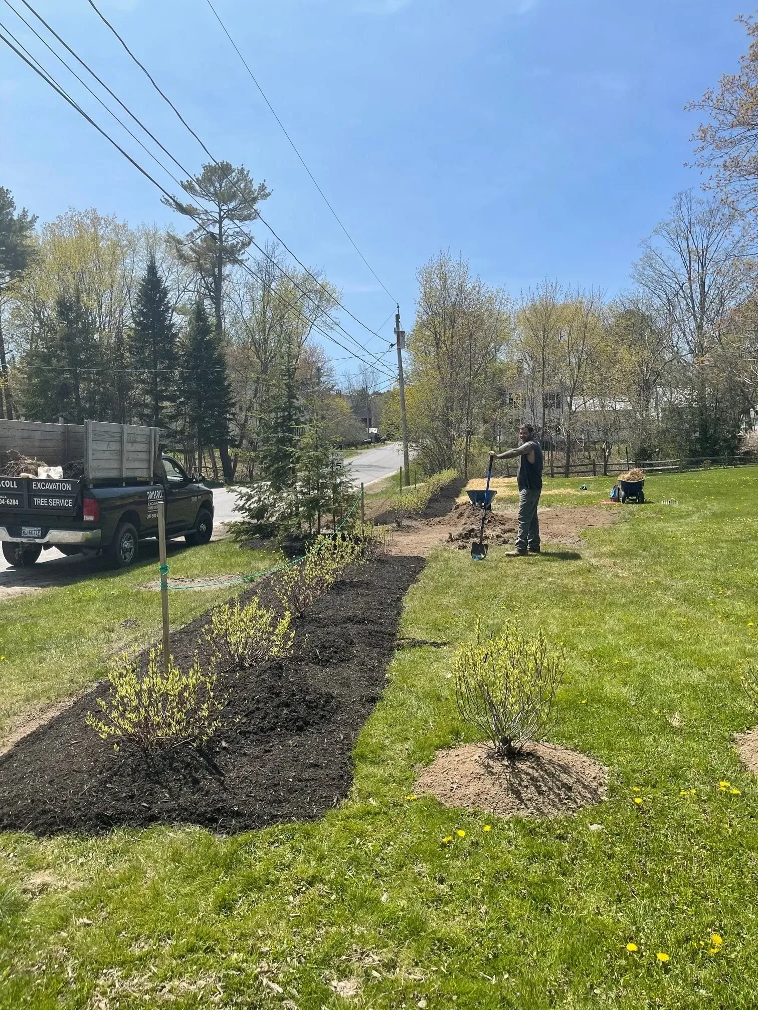 Man planting in a mulch-covered garden bed, roadside, with a truck and trees visible on a sunny day.