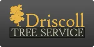 Logo for Driscoll Tree Service: yellow tree silhouette, gold text 