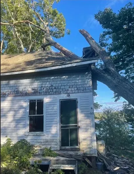 A tree has fallen on the roof of a weathered, white building near a body of water.