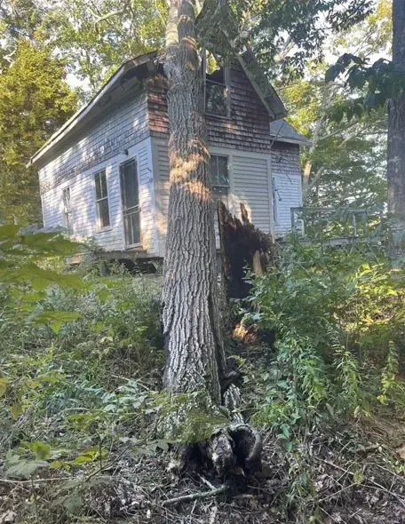 Dilapidated gray house, partially obscured by a large tree in a wooded area.
