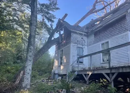 Tree limb crashed through the roof of a dilapidated, weathered, white clapboard house.