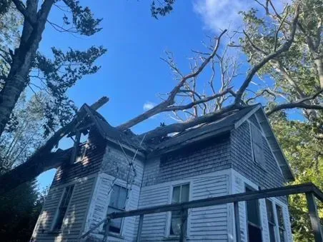 Tree branches rest on the roof of a weathered two-story house; blue sky above.