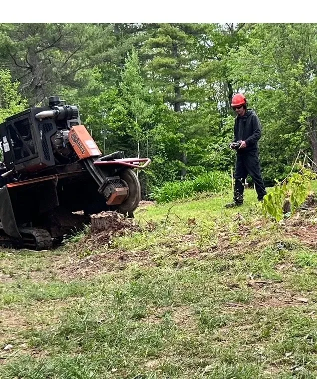 Man operating a stump grinder on a grassy hill. Black machine, forest background.