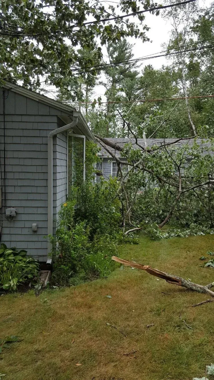 A gray house with a tree branch fallen on its roof, surrounded by green foliage.