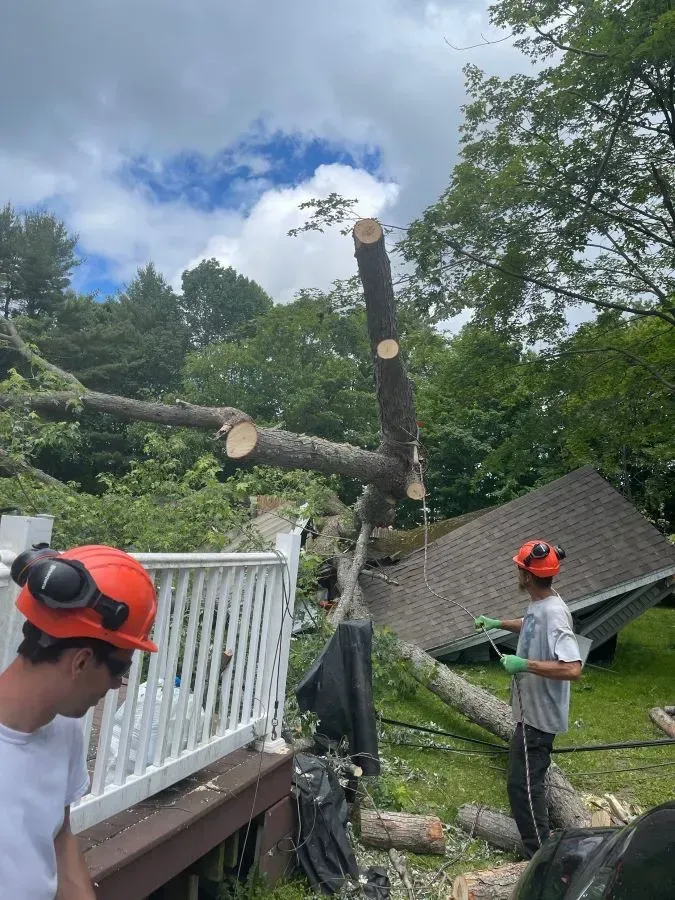 Two people with safety gear cut a fallen tree from a house. Branches are cut and debris is on the ground.