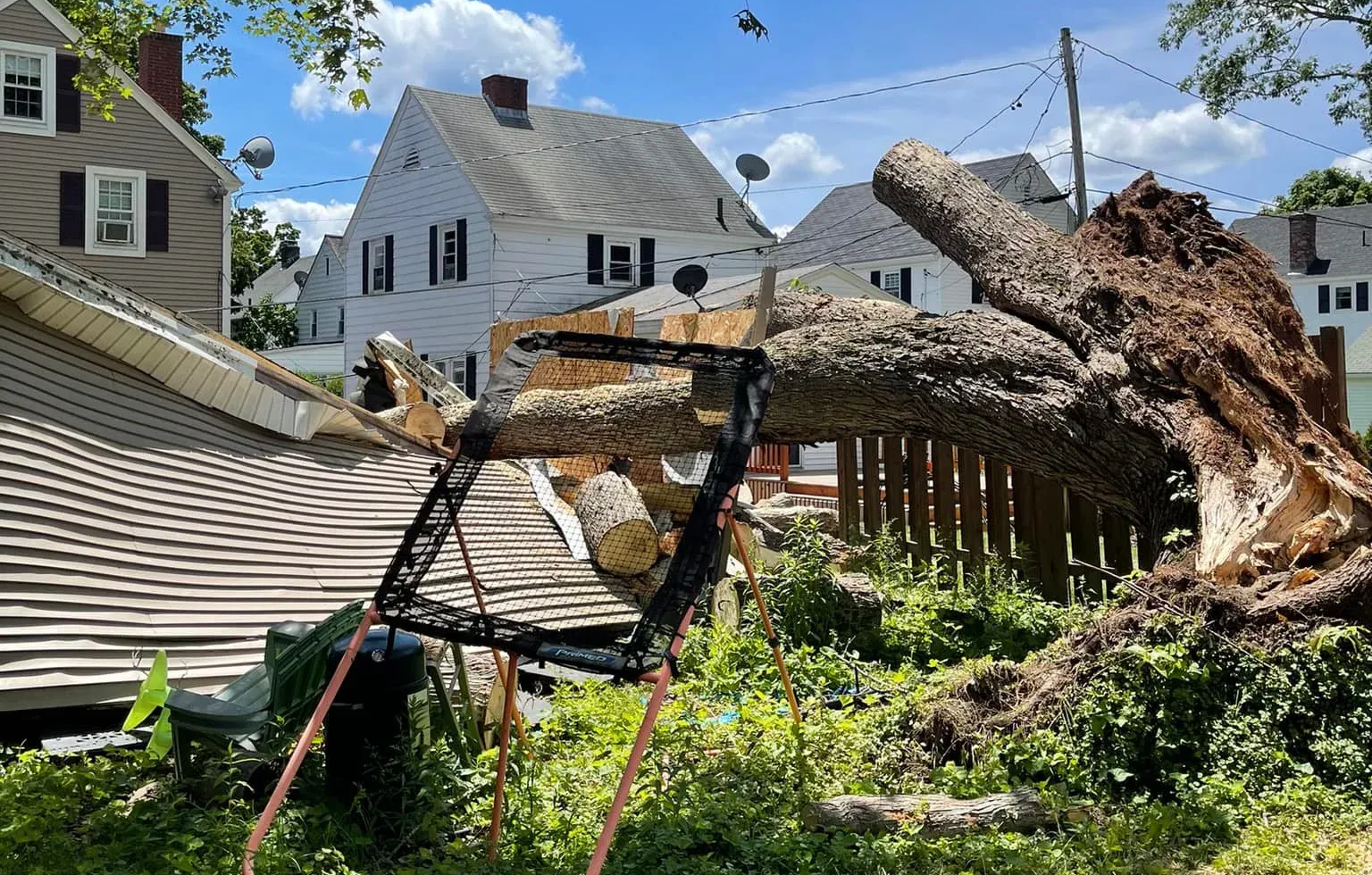 Fallen tree across a fence, damaged roof. A-frame sawhorse in the yard, houses in background under a blue sky.