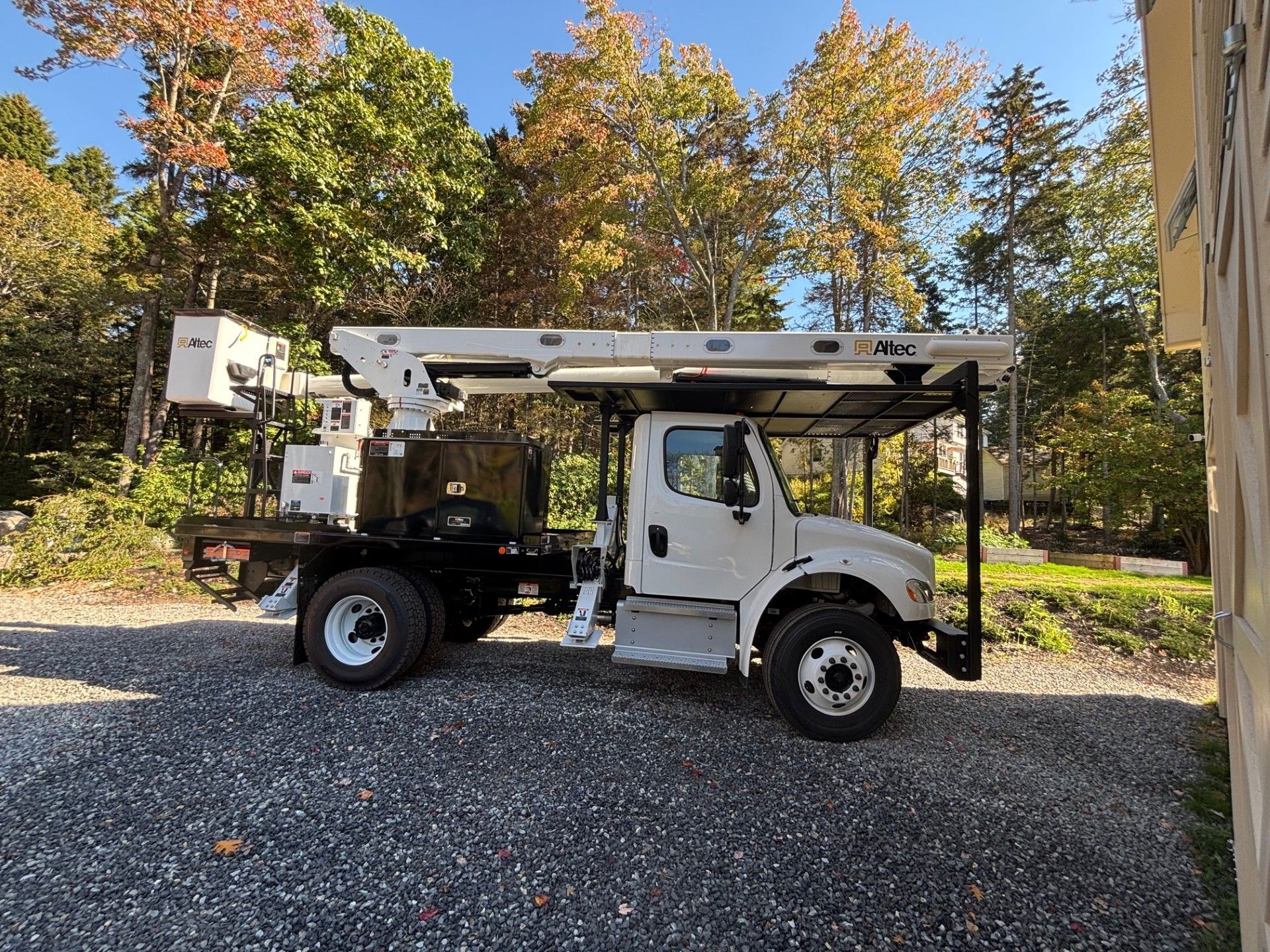 Arborist in safety gear atop a tall tree, overcast sky.