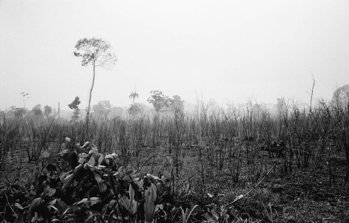 Latitude Zero book page excerpt