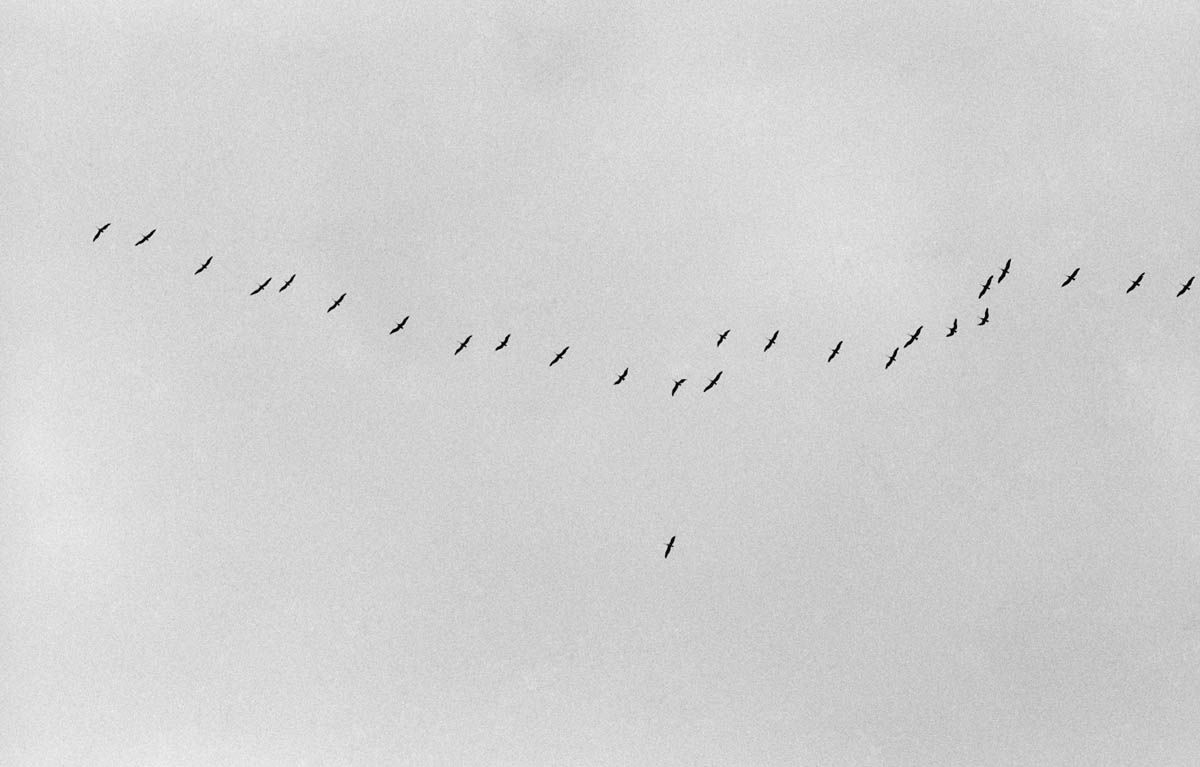 Latitude Zero book page excerpt