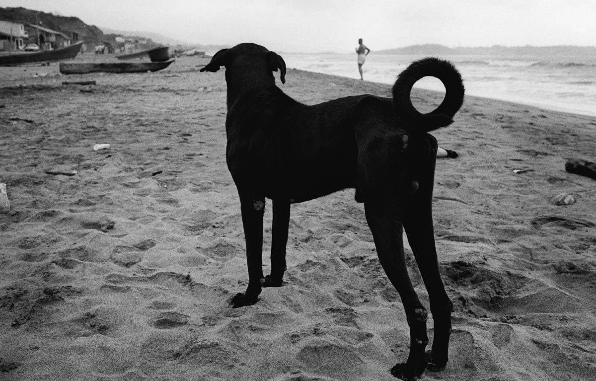 Latitude Zero book page excerpt