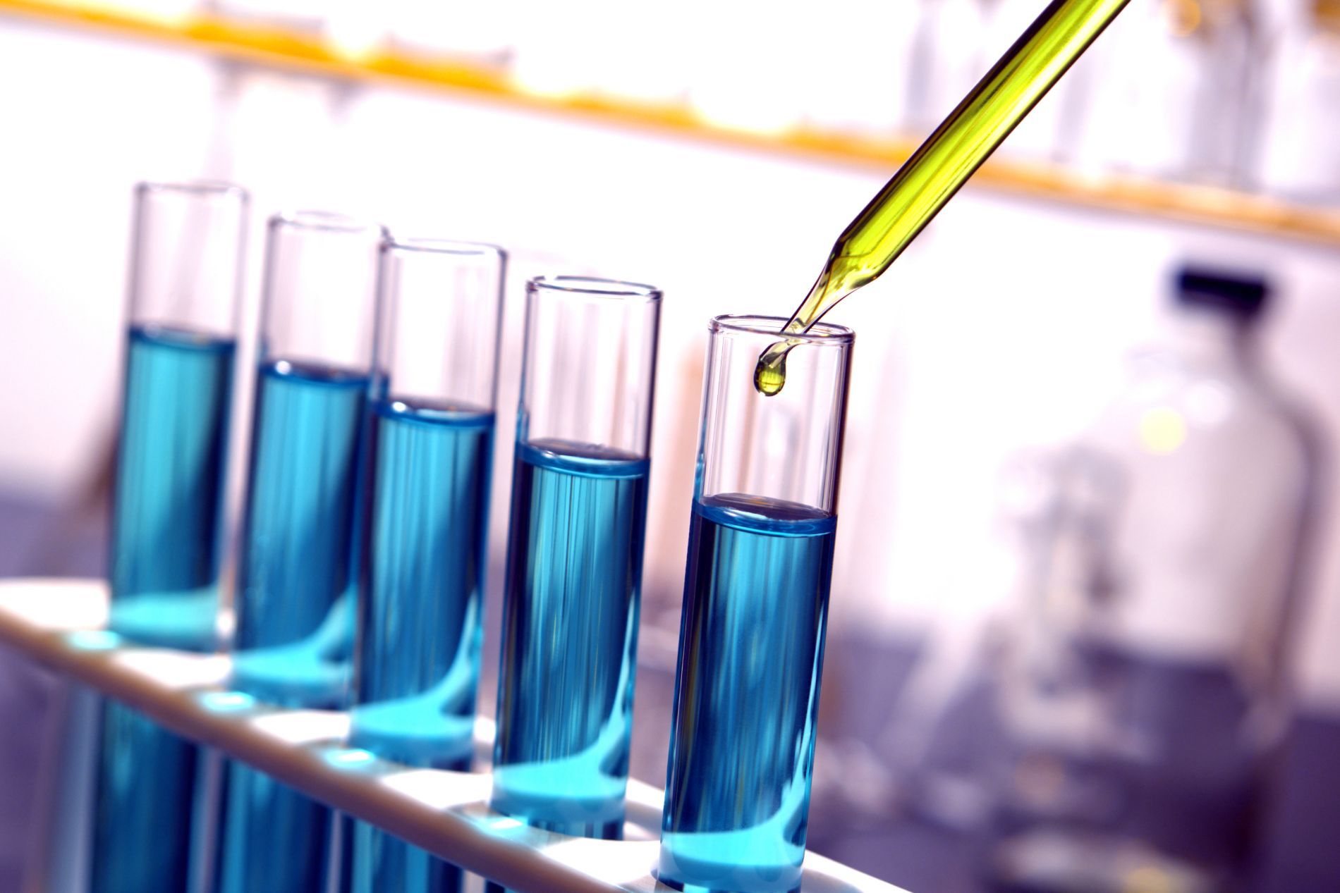 I servizi del laboratorio