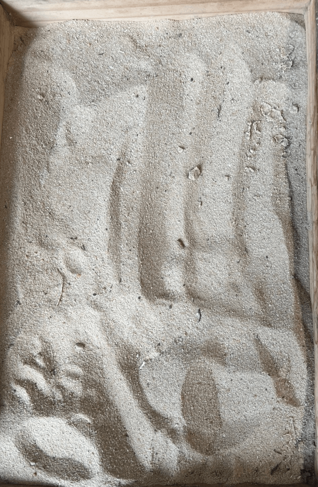 Machinery Moving Sand — Landscaping Supplies in Delacombe, VIC