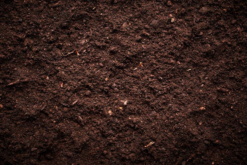 High Quality Soil — Landscaping Supplies in Delacombe, VIC