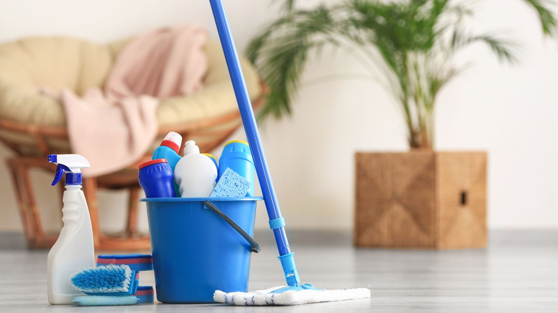A mop and bucket of cleaning supplies are on the floor in a living room.
