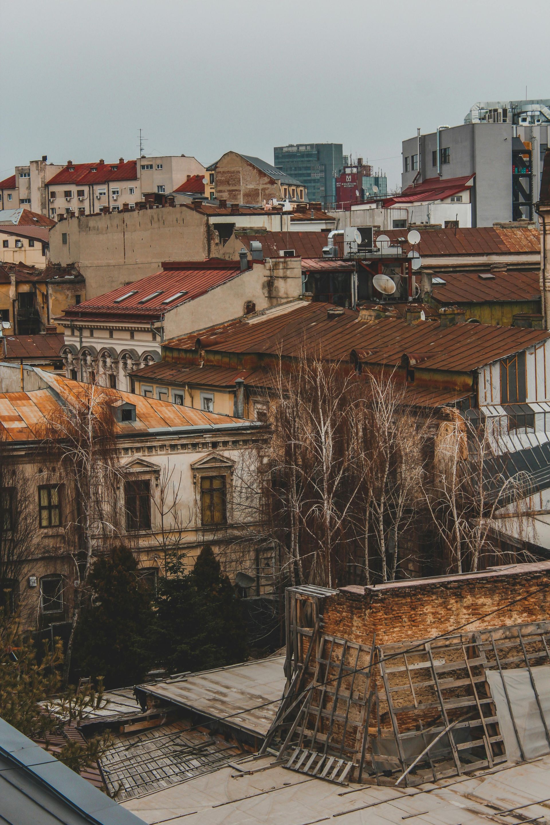 débarras appartement 