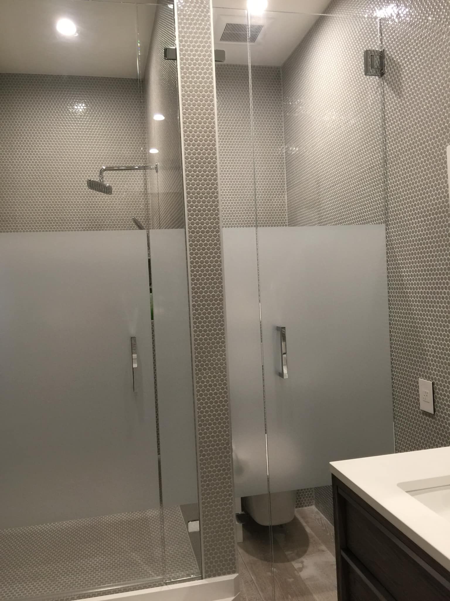 A bathroom with a walk in shower and a toilet