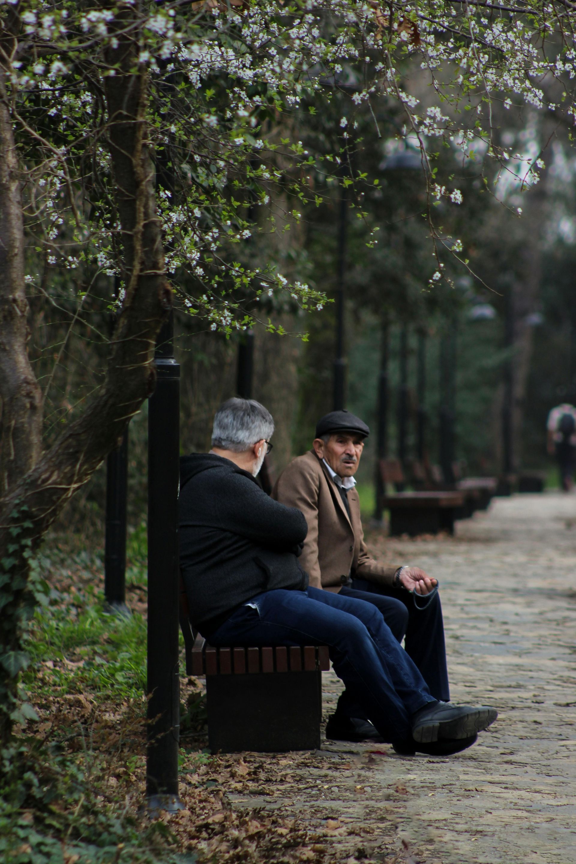 Two men sit on a park bench, conversing. One wears a brown jacket and cap. Trees with white blossoms surround them.