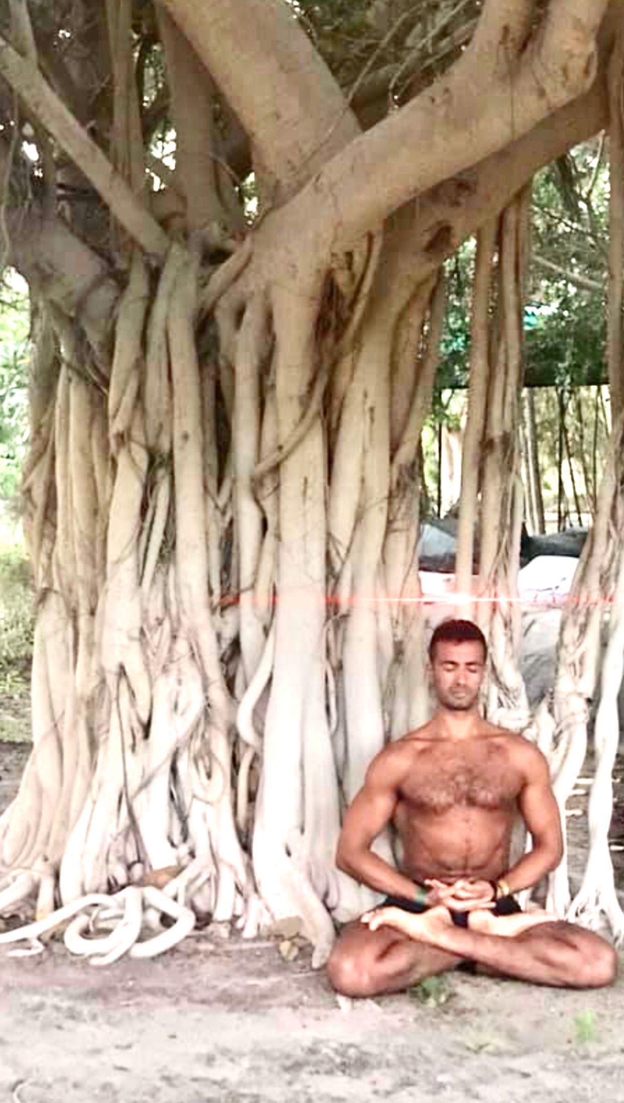 A shirtless man is sitting in a lotus position under a tree.