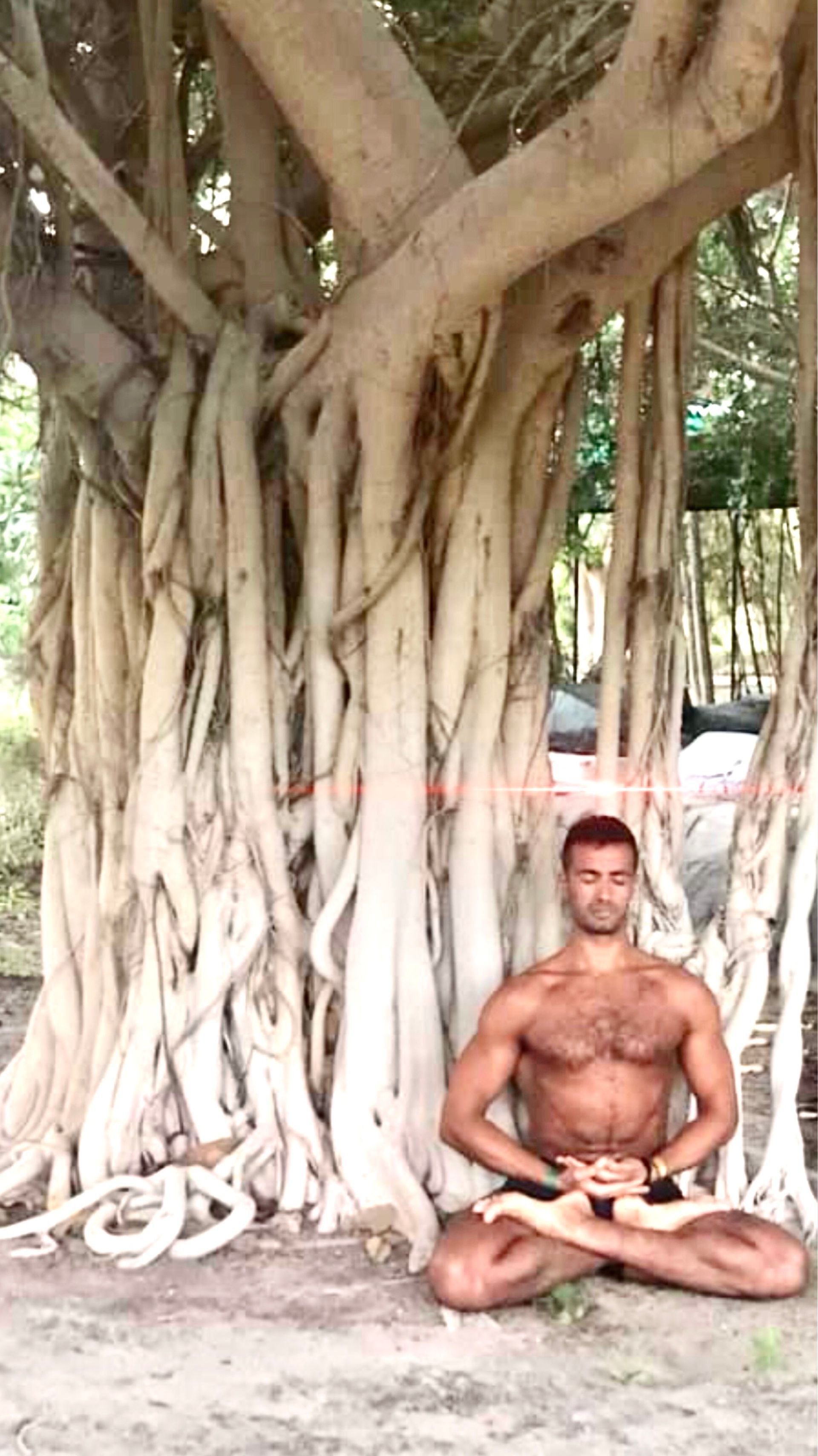 A shirtless man is sitting in a lotus position under a tree.