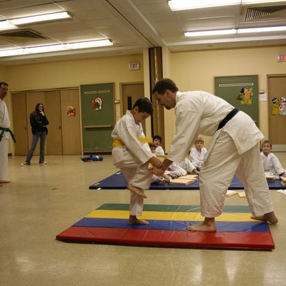 A group of people are practicing martial arts in a gym