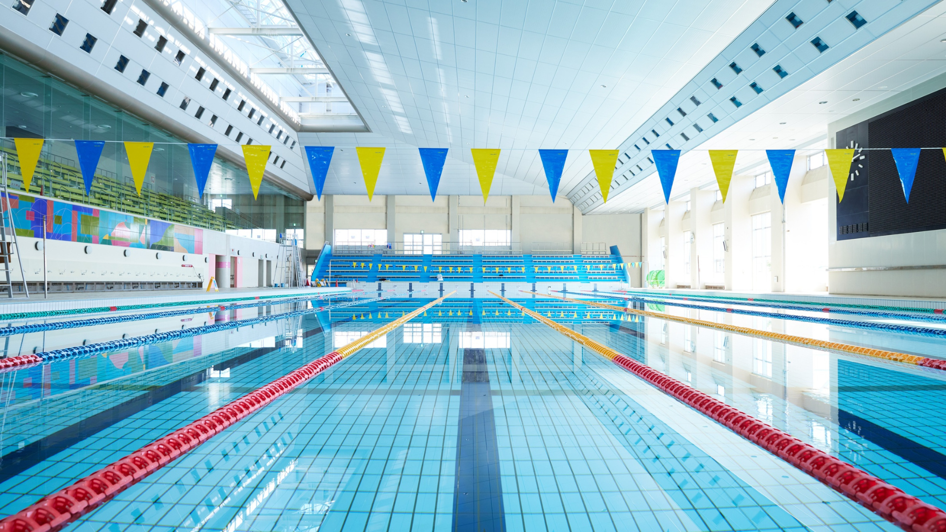 Schools & Educational Institutions