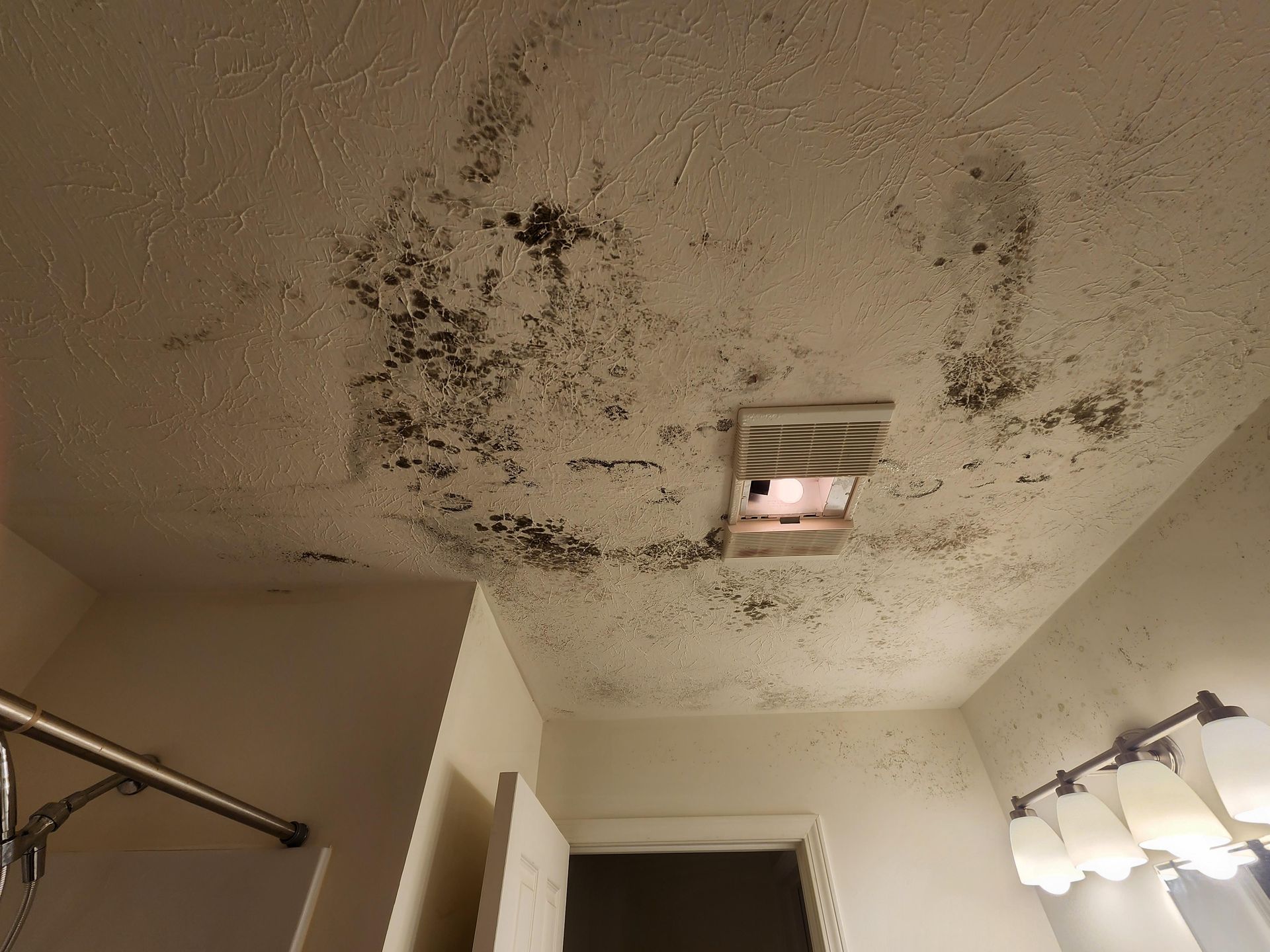 Mold Keeps Returning After Removal
