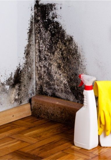 a spray bottle is sitting on a wooden floor next to a mouldy wall .